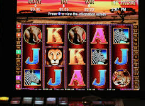 华体app官方下载入口正式版